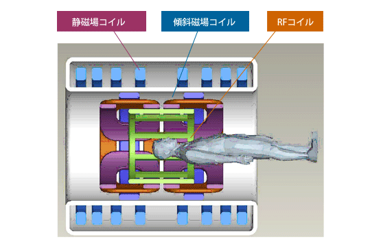 静磁場コイル　傾斜磁場コイル　RFコイル