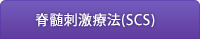 脊髄刺激療法（SCS）