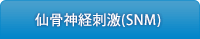 脊髄刺激療法（SNM）